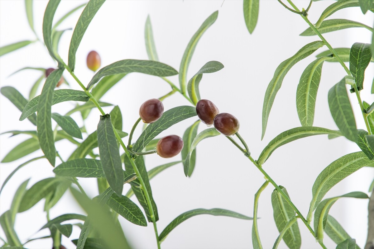 人工オリーブ 85cm