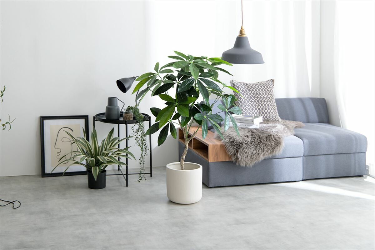 人工パキラ 90cm