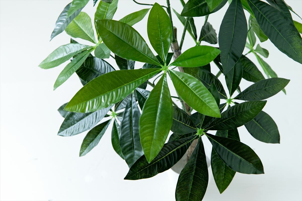 人工パキラ 90cm