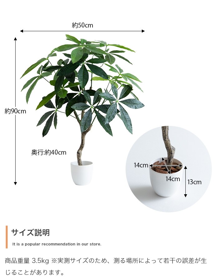 人工パキラ 90cm