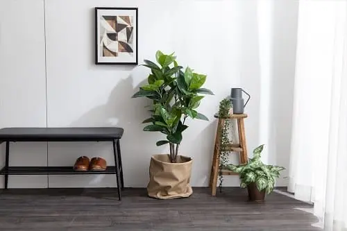 人工ゴムの木 95cm