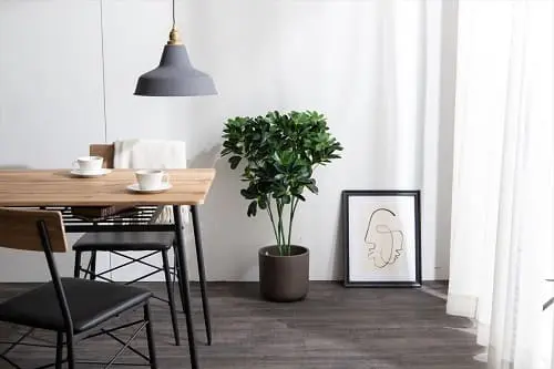 人工カポック 90cm