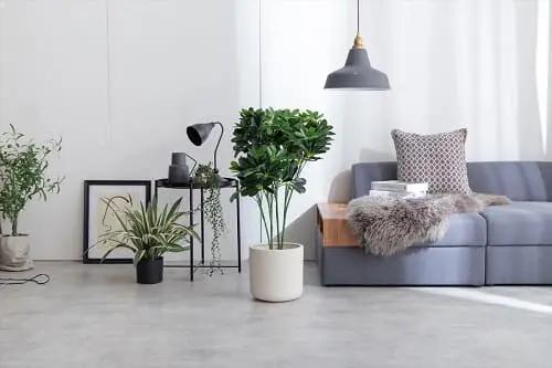 人工カポック 90cm